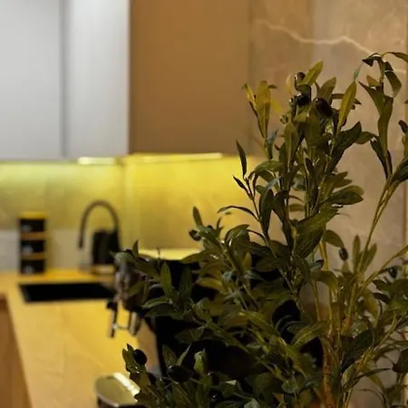דירה Family & Business Premium No1 - 1 Bedroom With Private Jacuzzi, Balcony, Parking ורשה
