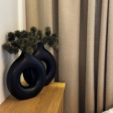 Family & Business Premium No1 - 1 Bedroom With Private Jacuzzi, Balcony, Parking ורשה